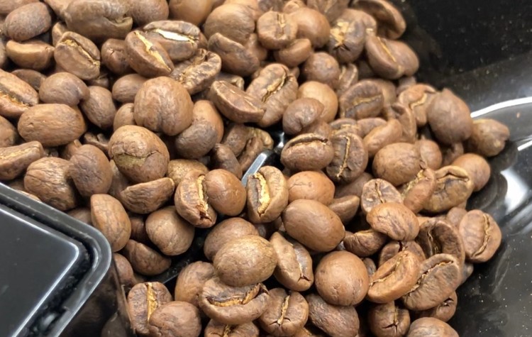 BLUE GUATEMALA